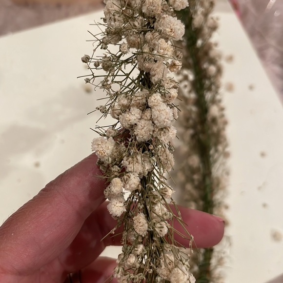 BHLDN Sunnie Flower Girl Preserved Baby’s Breath Crown NIB - Picture 6 of 7